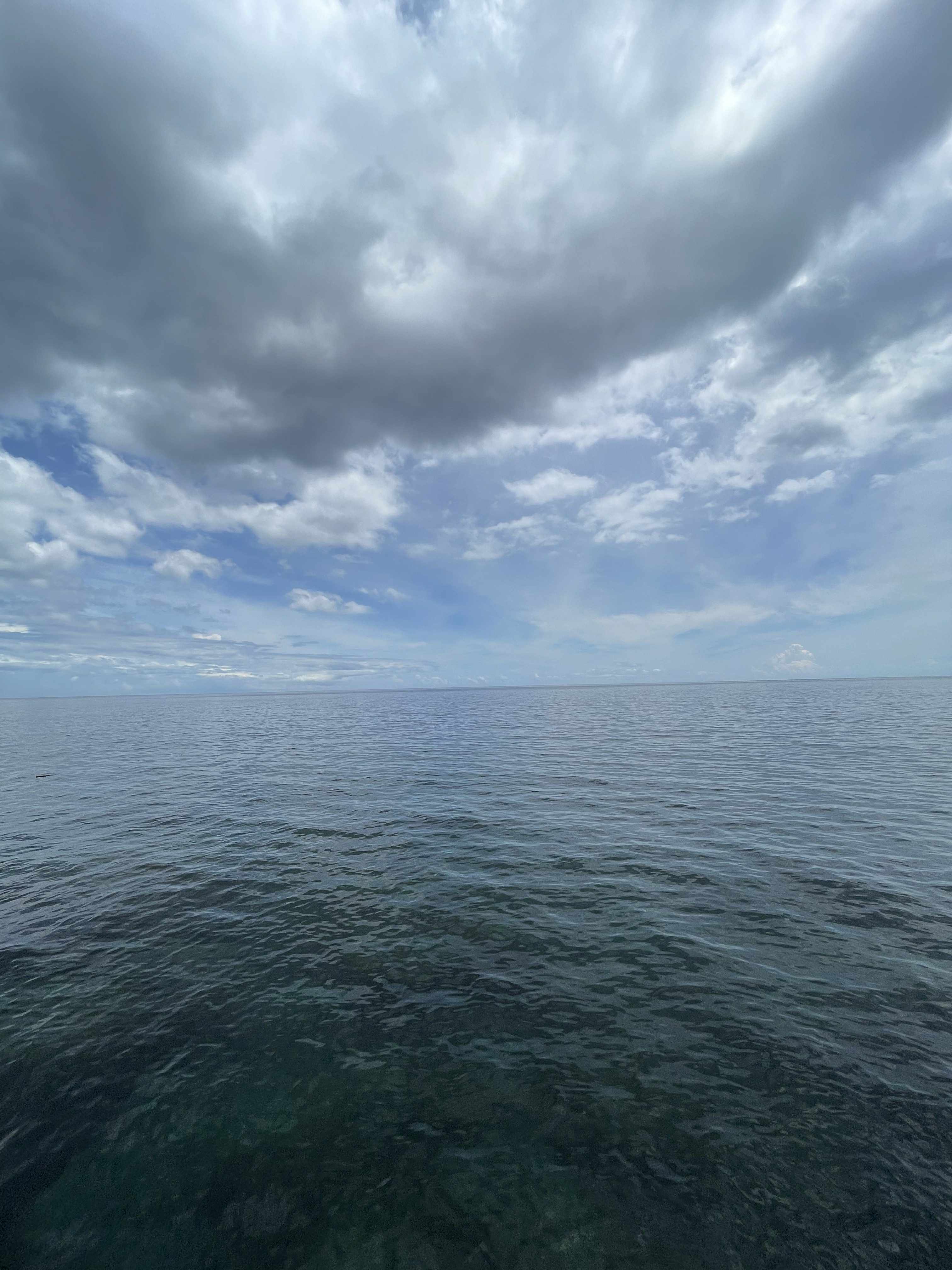 d665d2cd-d8d8-4855-93b0-d12d0bffe5ad.jpg