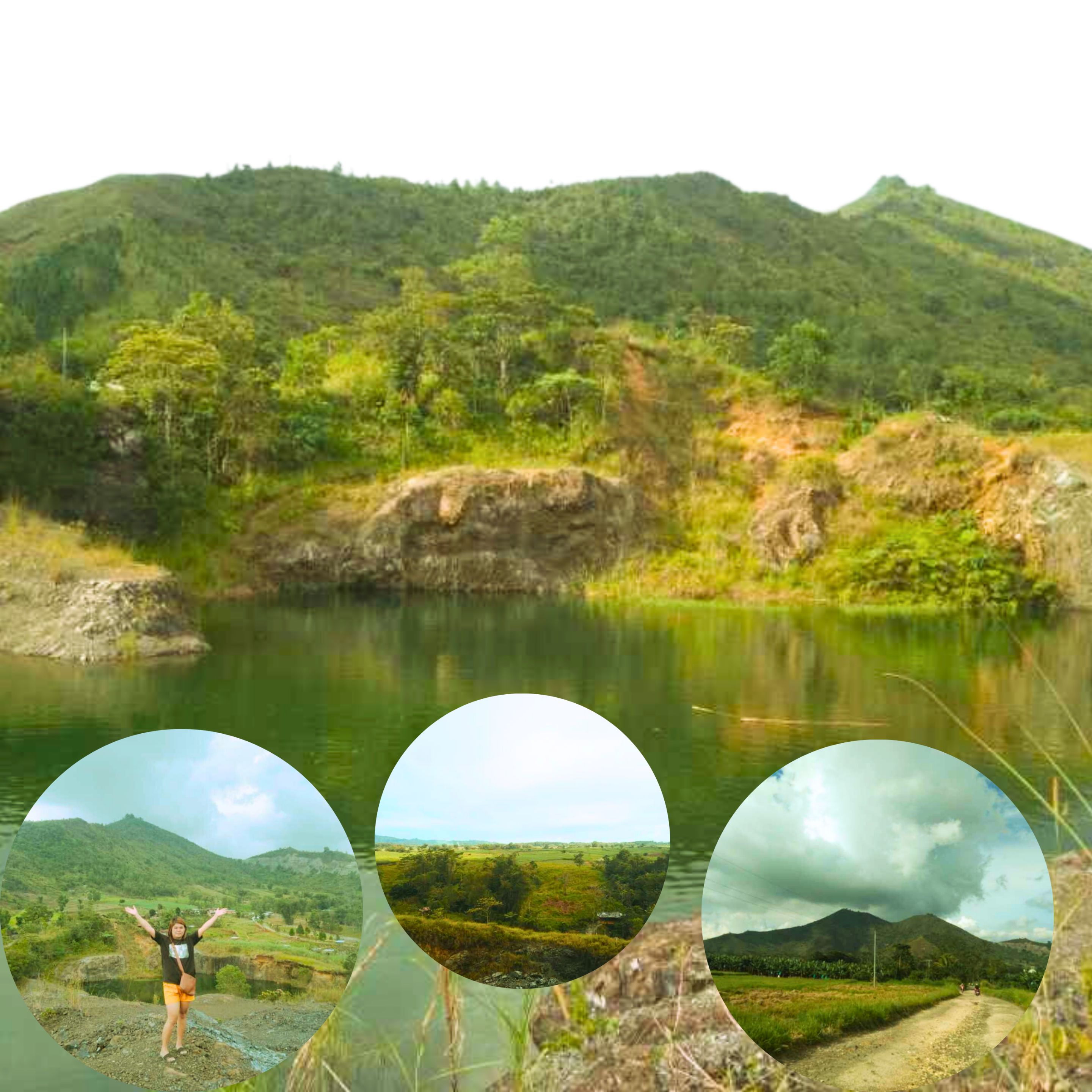 Violet and Green Lavender Photo Collage Instagram Post (3).png