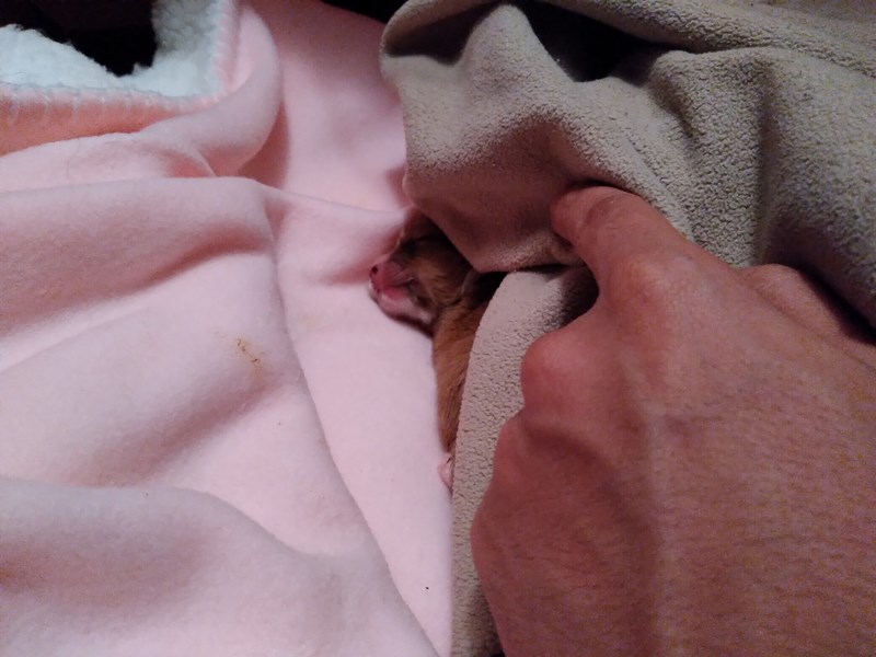 20210510_185837.jpg