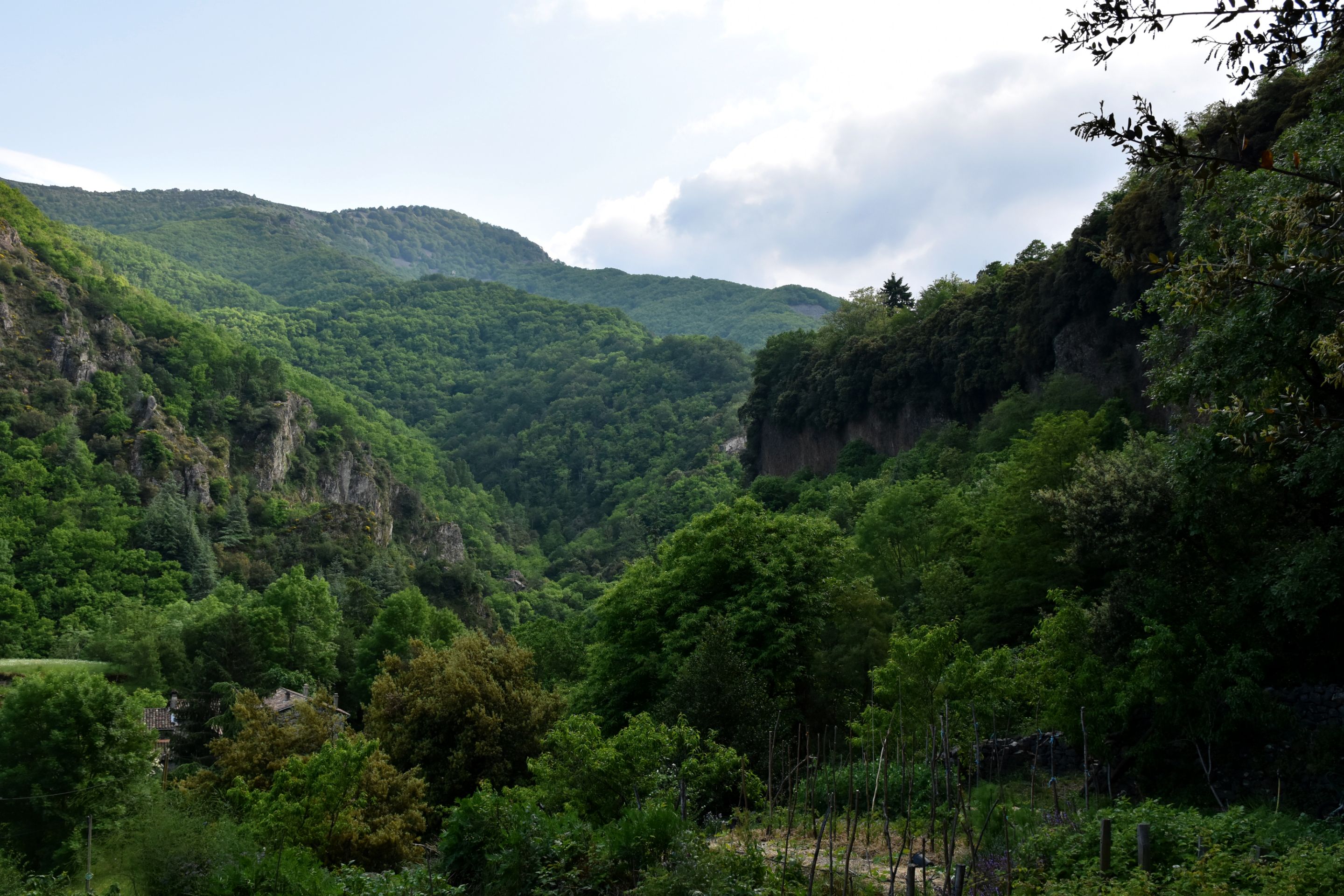 DSC_0092.JPG