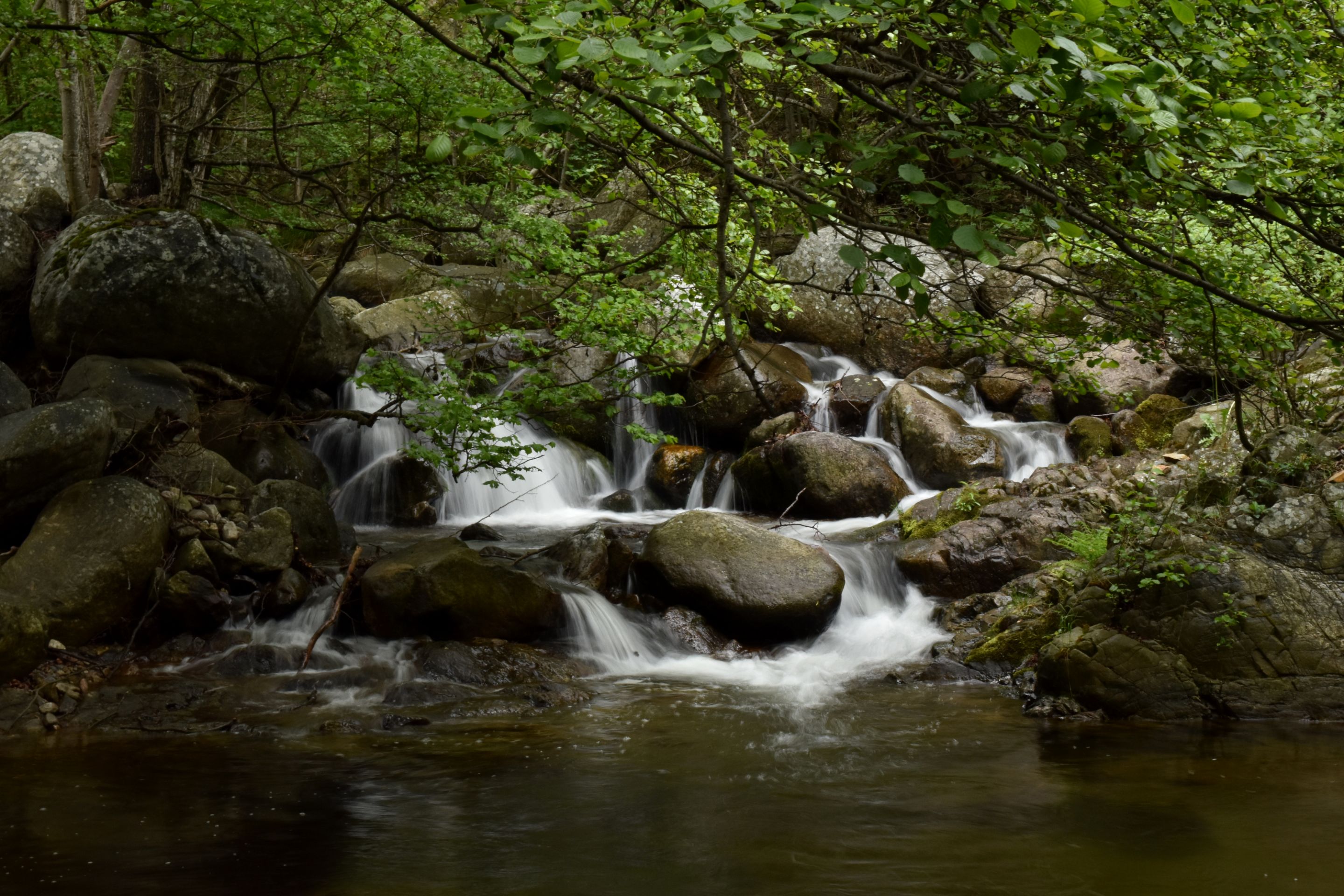 DSC_2091.JPG