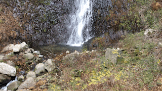 IMG_0006_MOV_AdobeExpress.gif