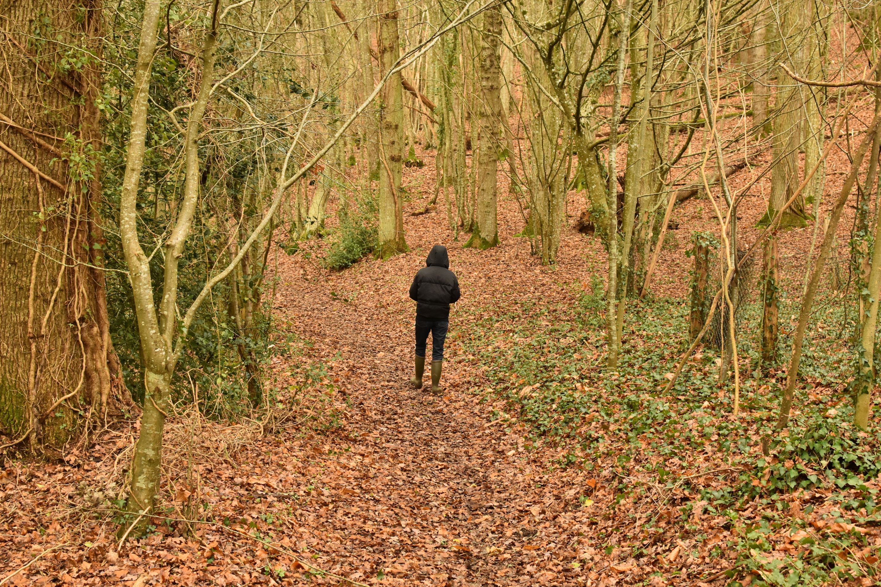DSC_0307.JPG