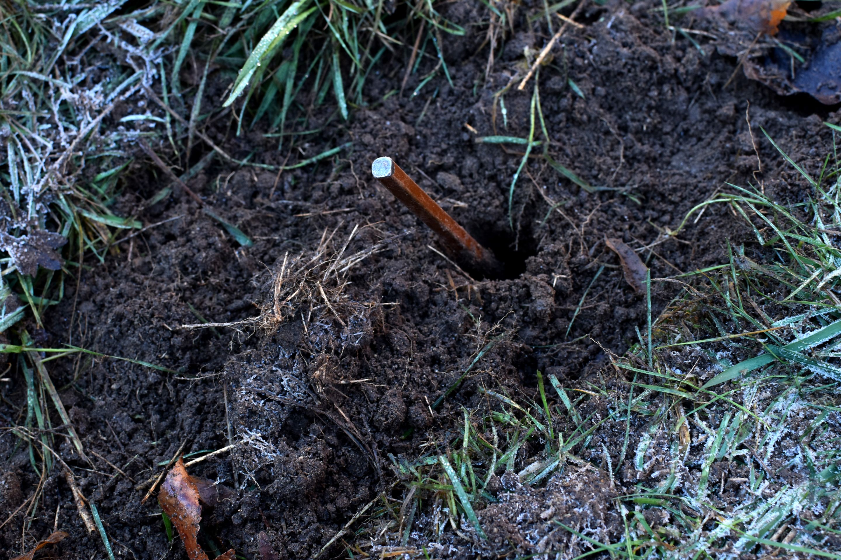 DSC_0233.JPG