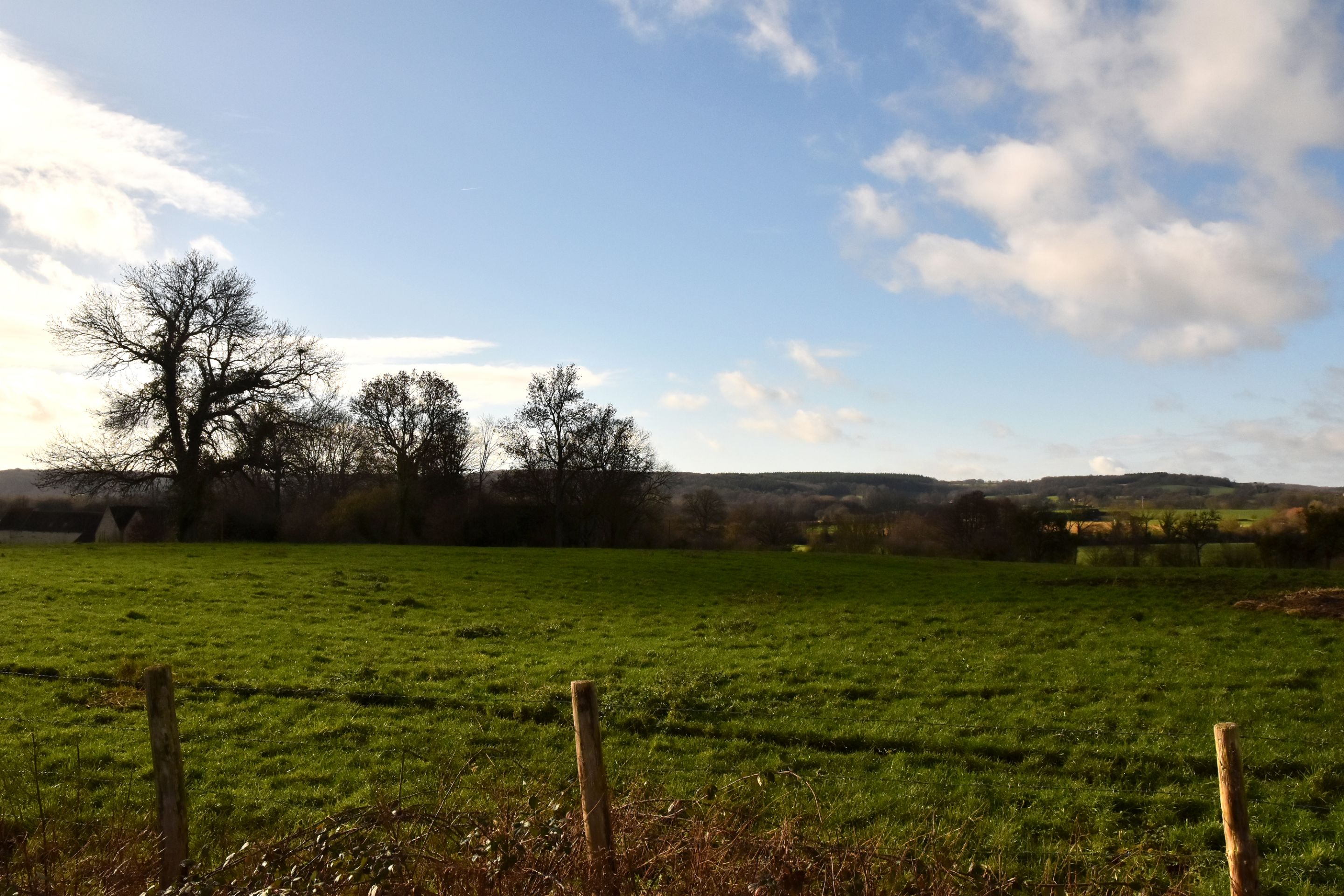 DSC_0021.JPG