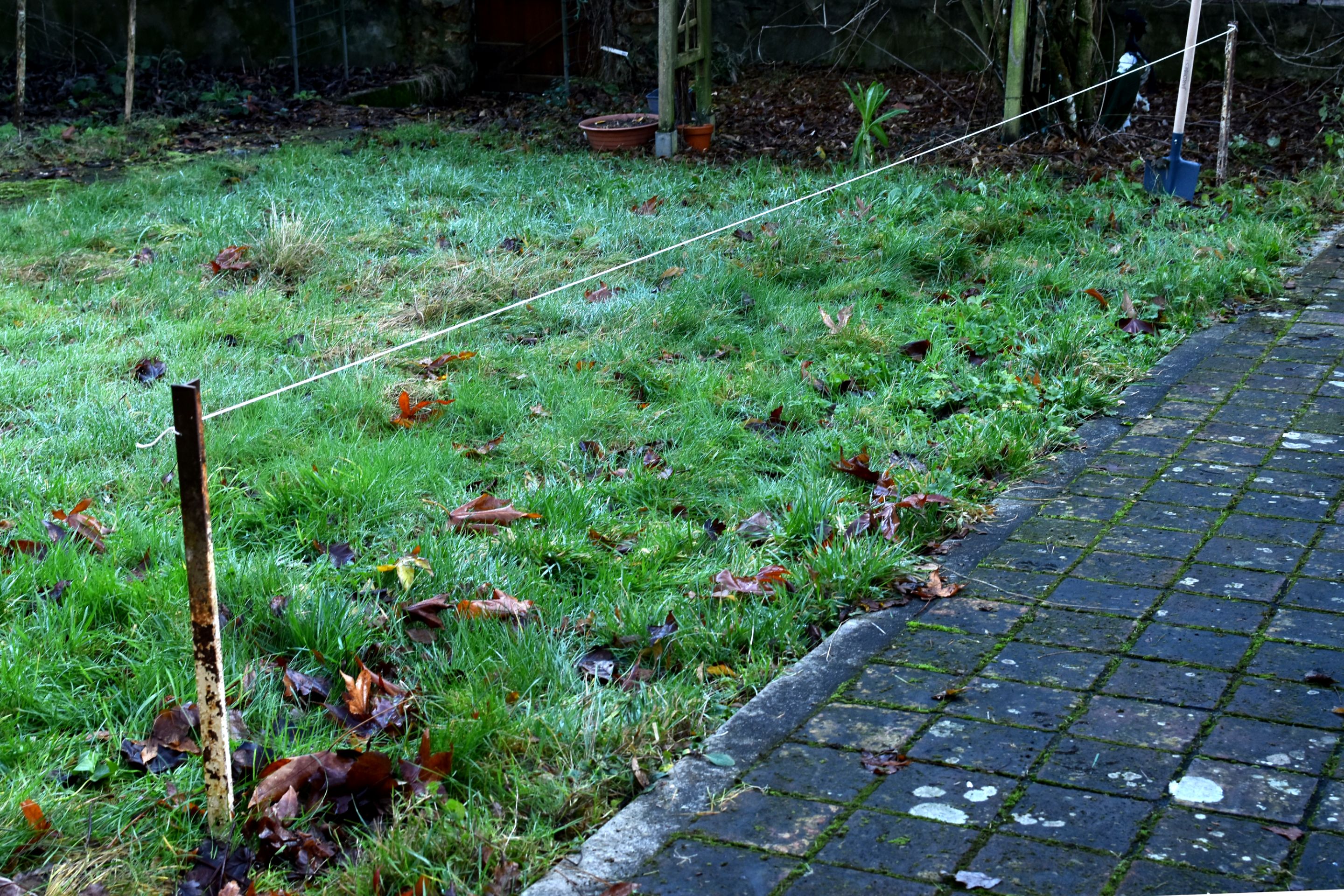 DSC_2778.JPG