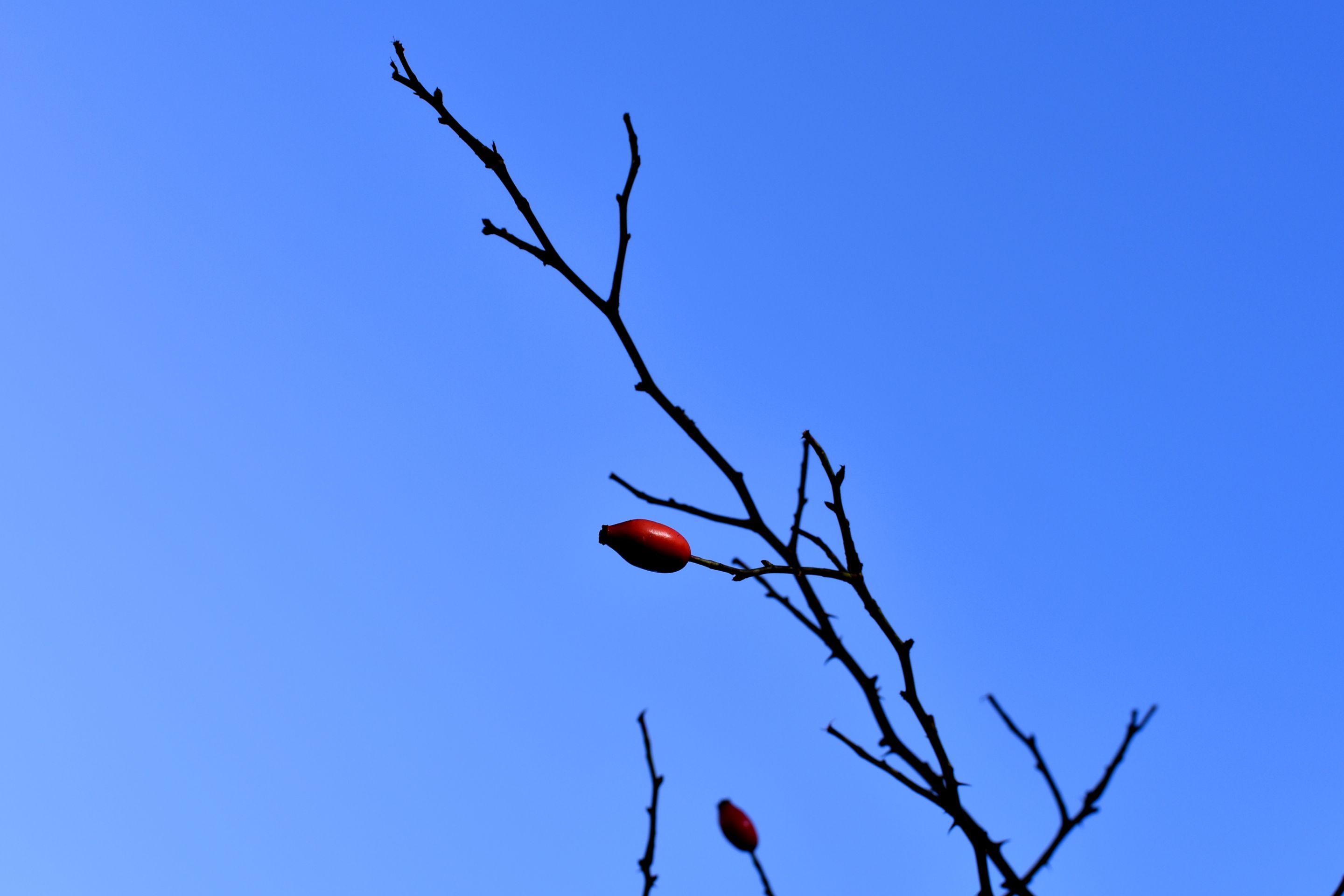 DSC_0876.JPG