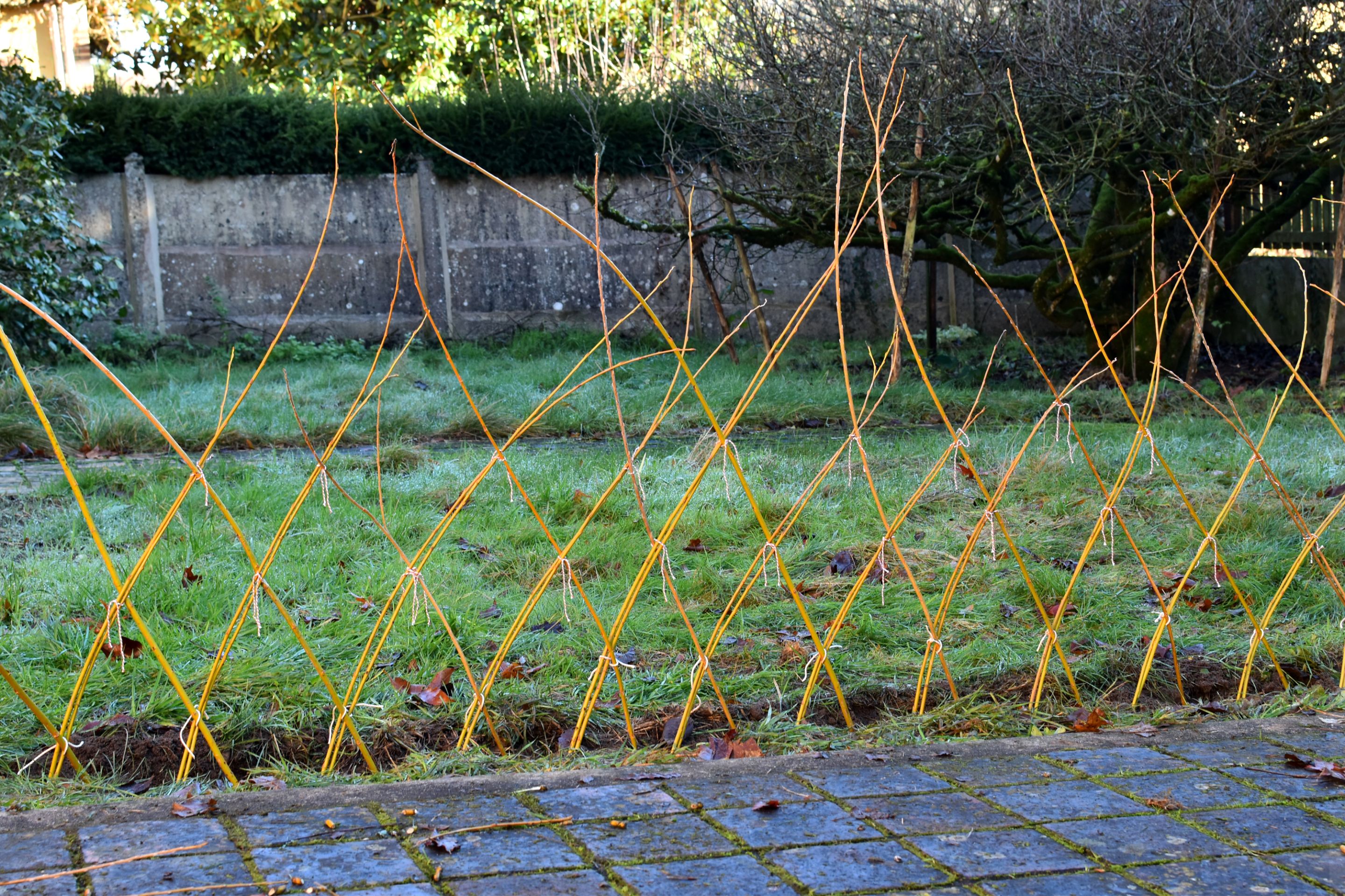 DSC_0267.JPG