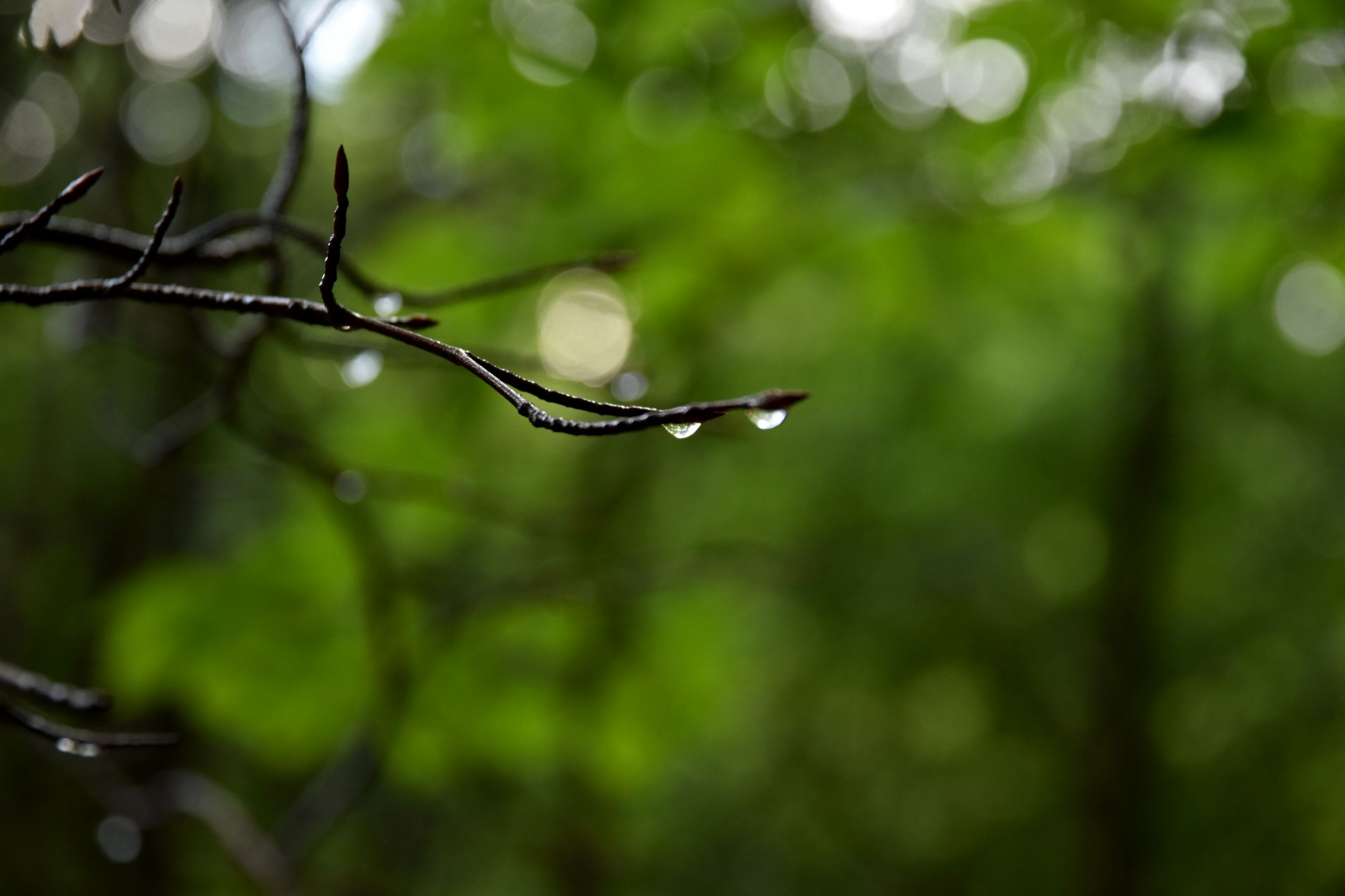DSC_2167.JPG