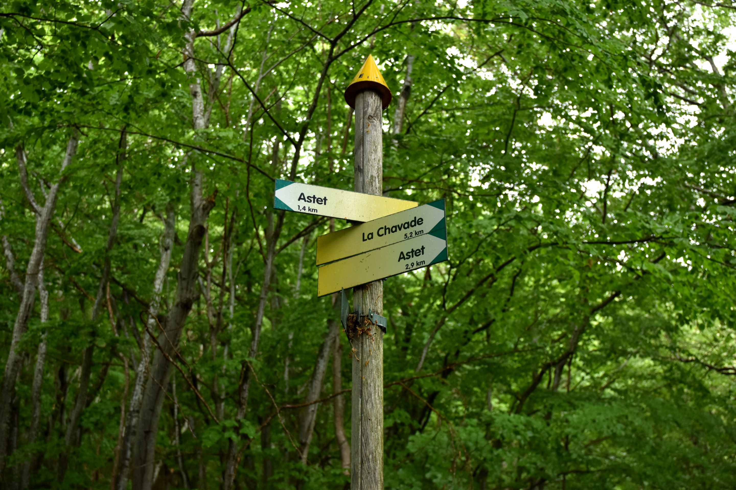 DSC_2114.JPG