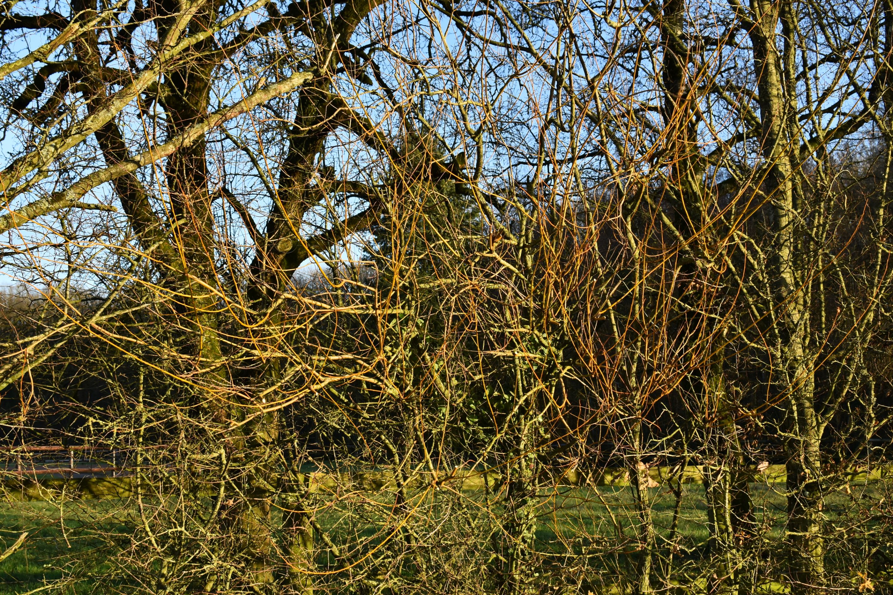 DSC_2809.JPG