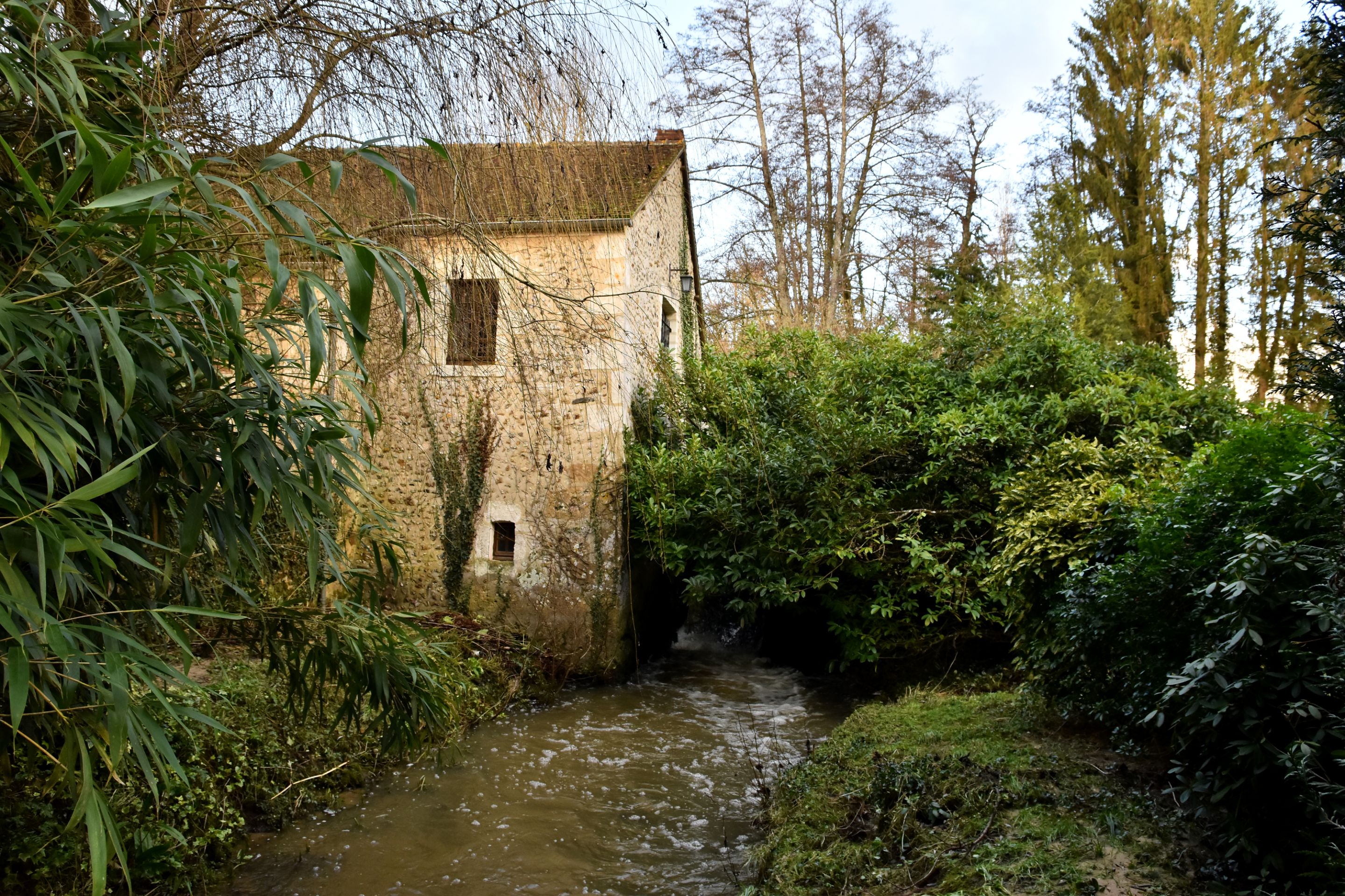 DSC_0164.JPG