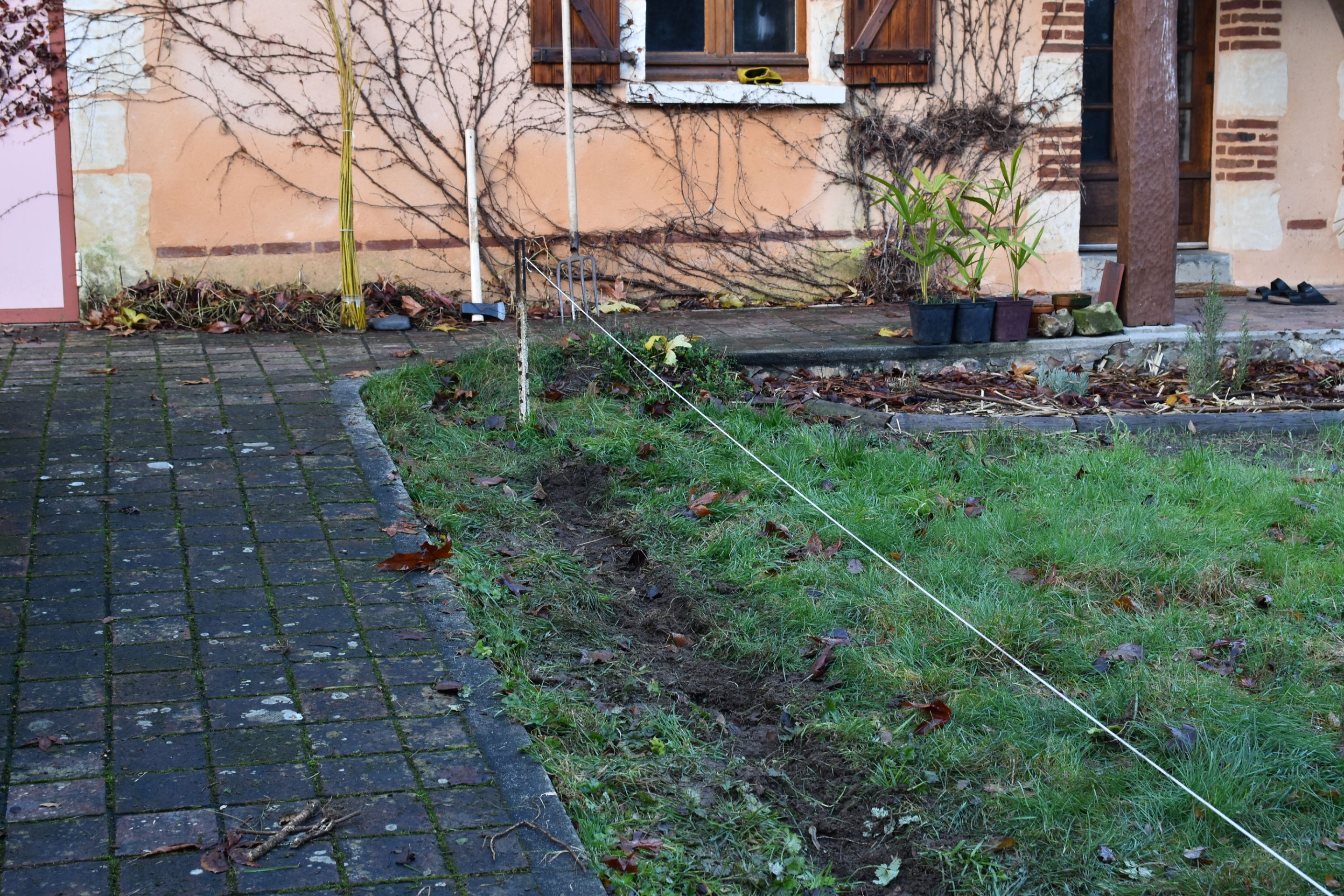 DSC_2797.JPG