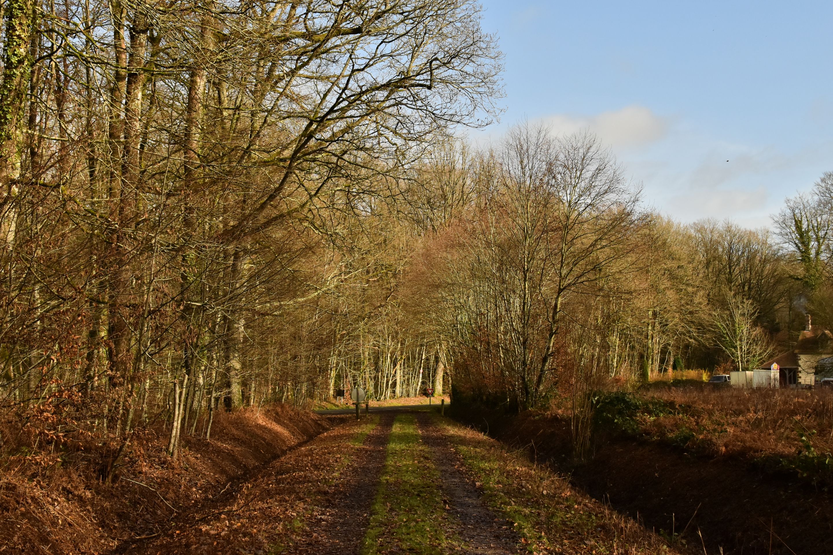 DSC_0181.JPG