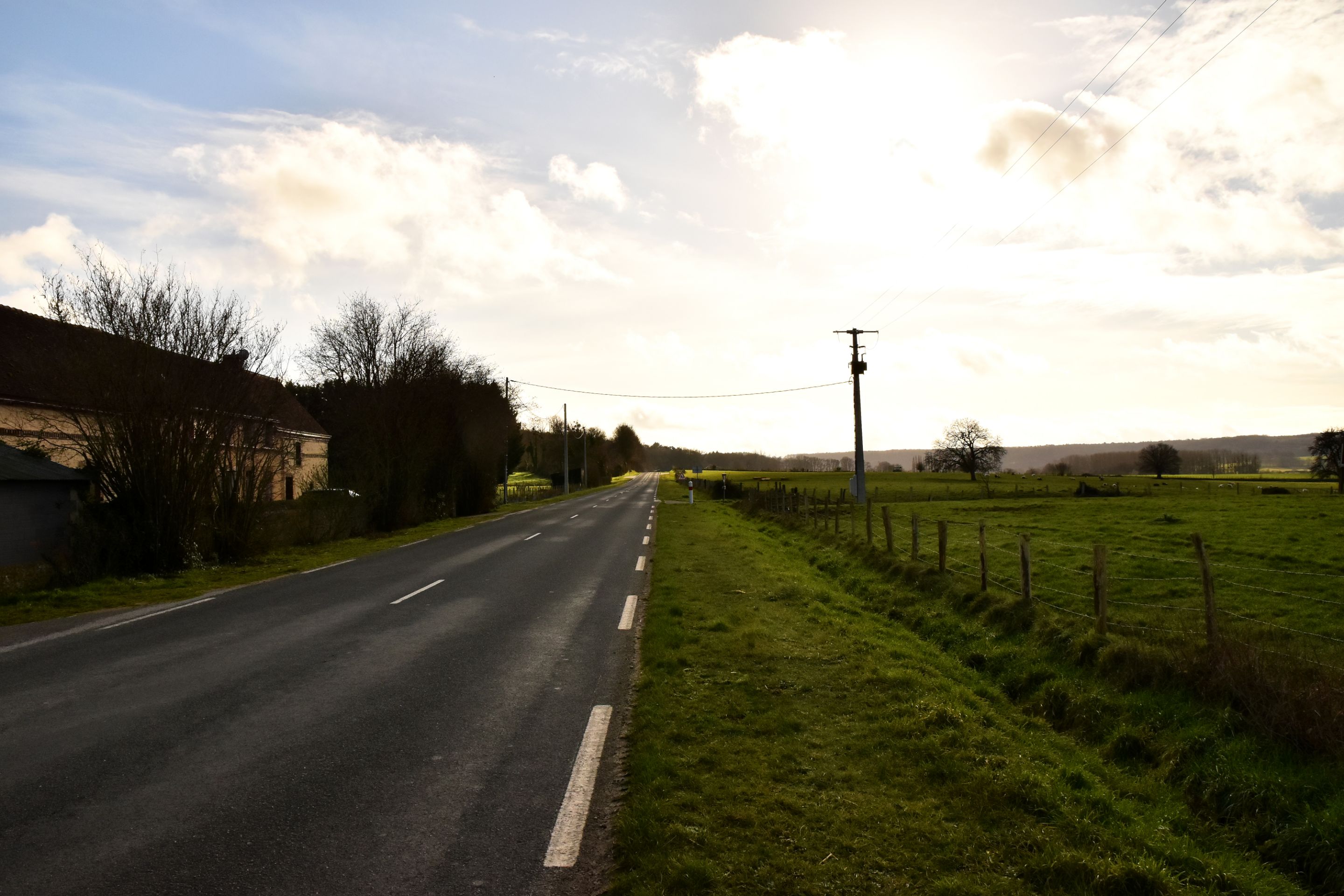 DSC_0017.JPG