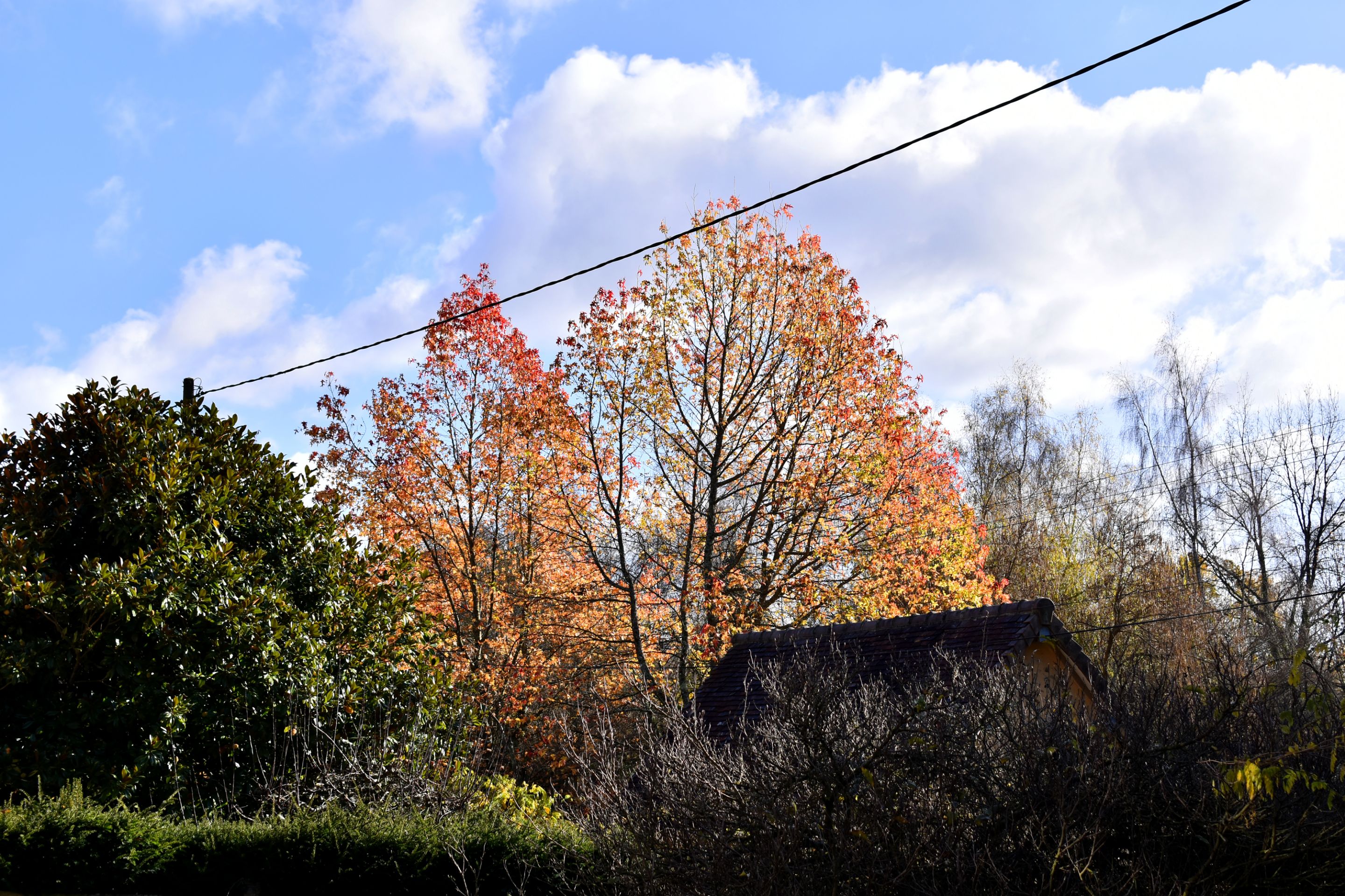 DSC_0888.JPG
