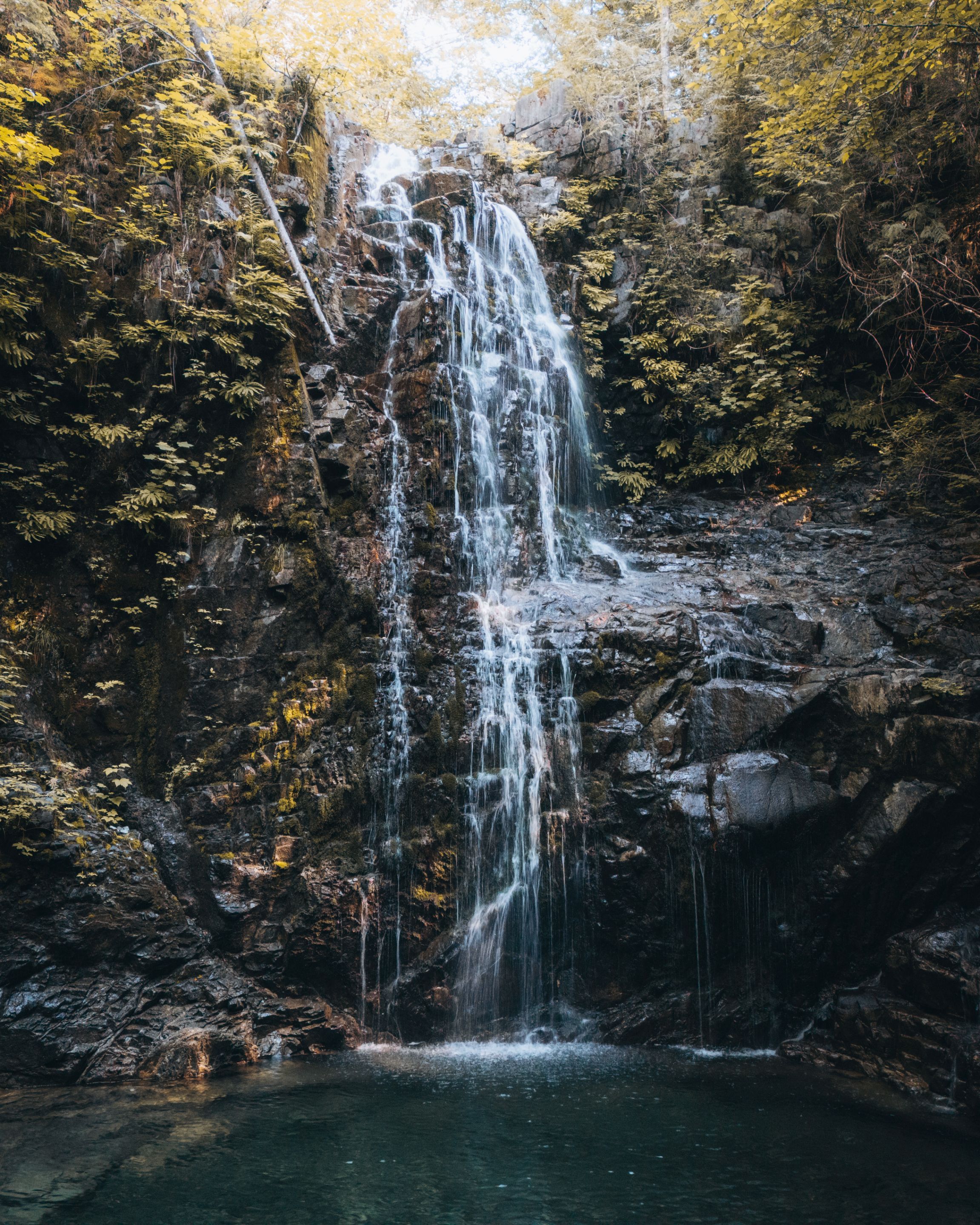 DJI_0513.jpg