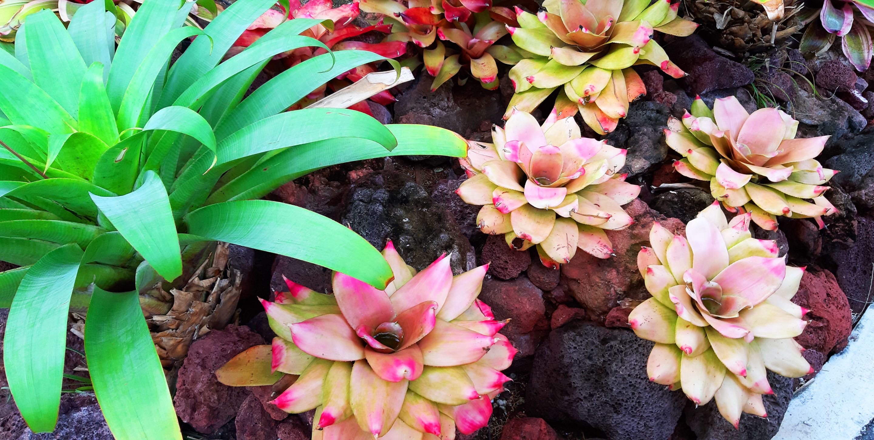 20191208_175942.jpg