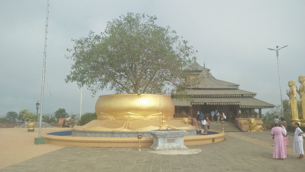 madushanka - gold star.jpg