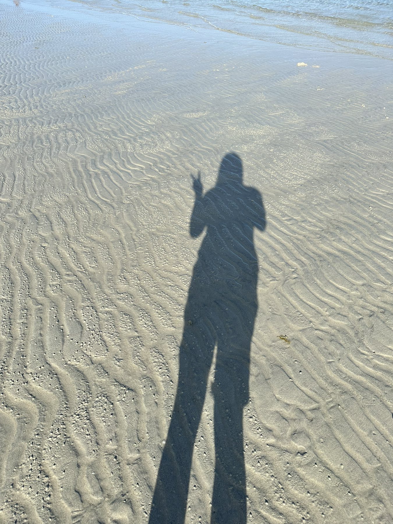Early morning walk