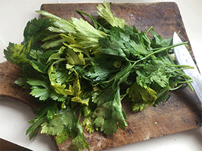 verduras.png