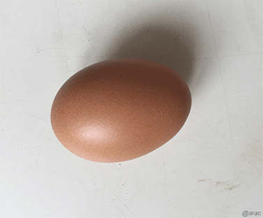 masa-2.png