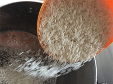 arroz-1.png
