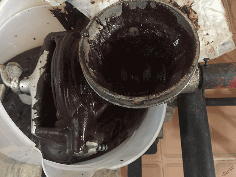 Cacao-4.png