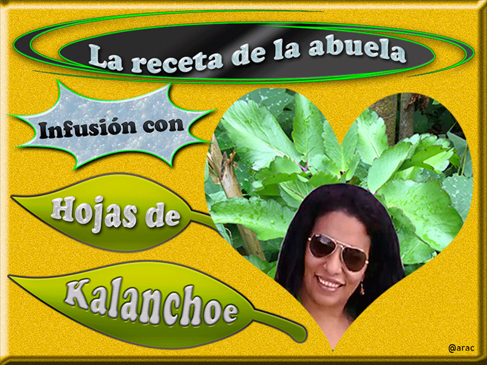 Tédelibertadora2.png