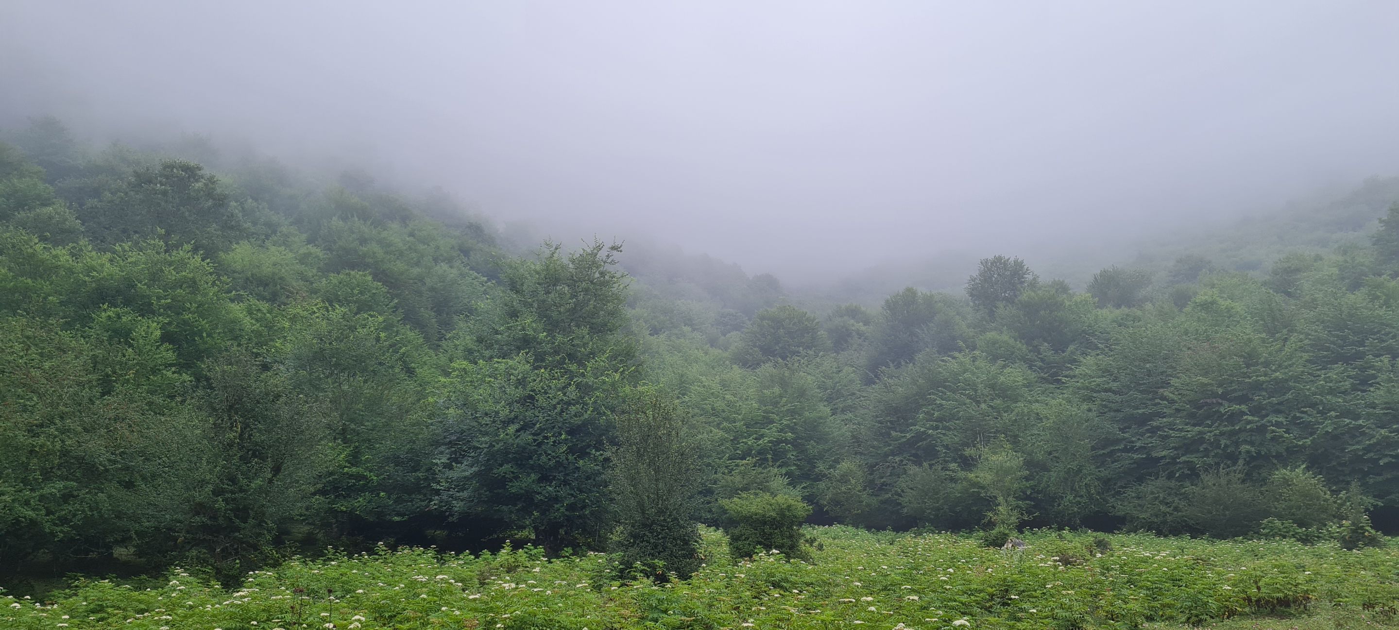 20230713_140056.jpg