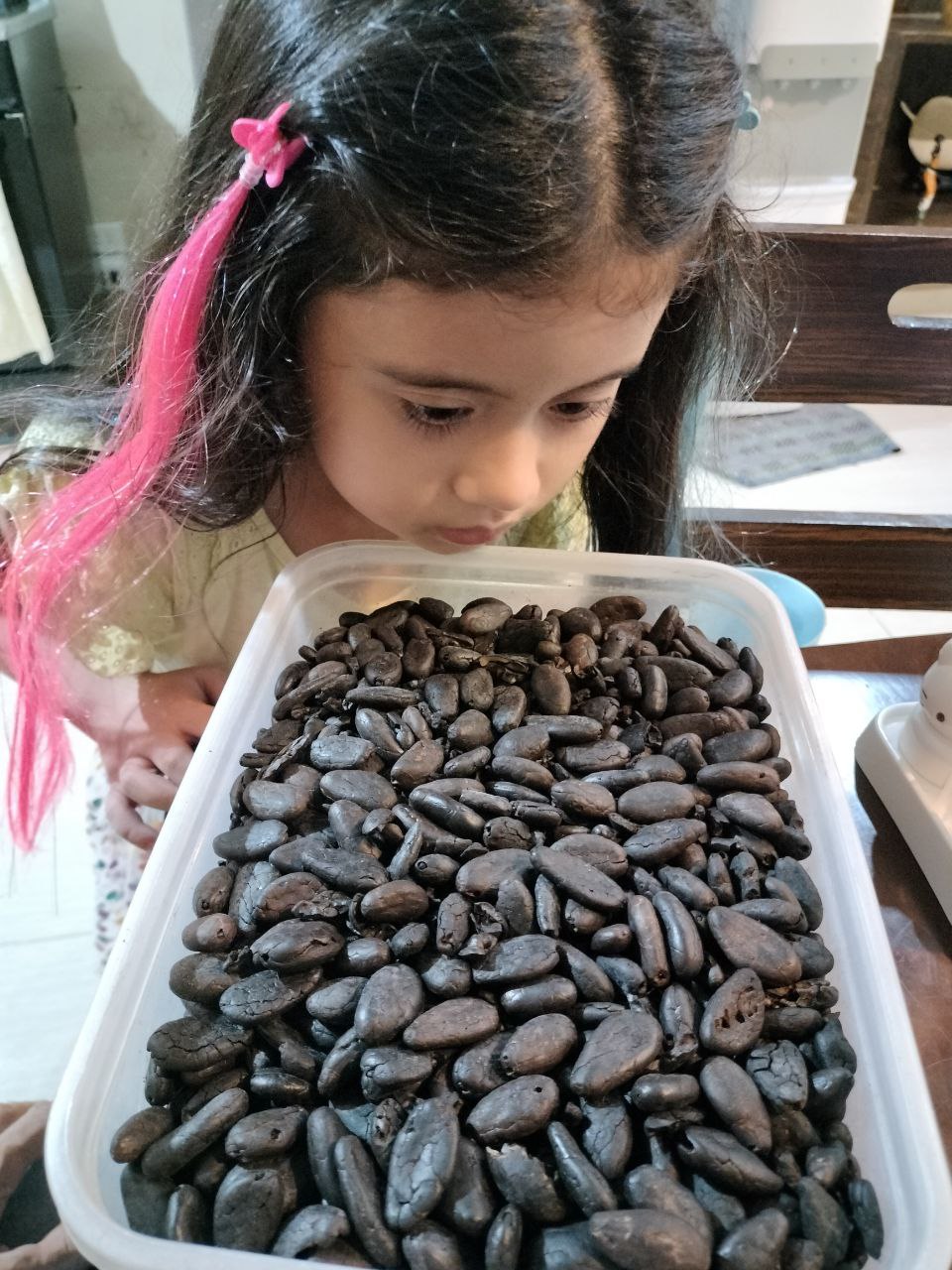 Cacao pic 1 (3).jpg