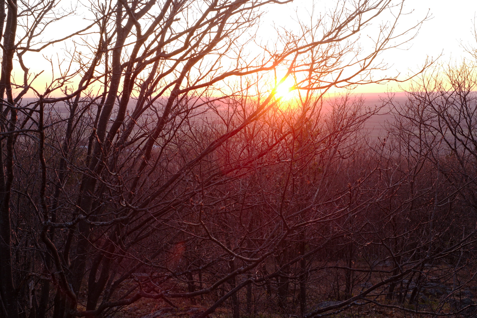 DSCF9910.jpg
