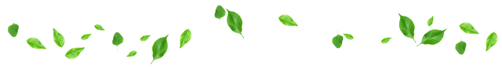 1682352915554.png