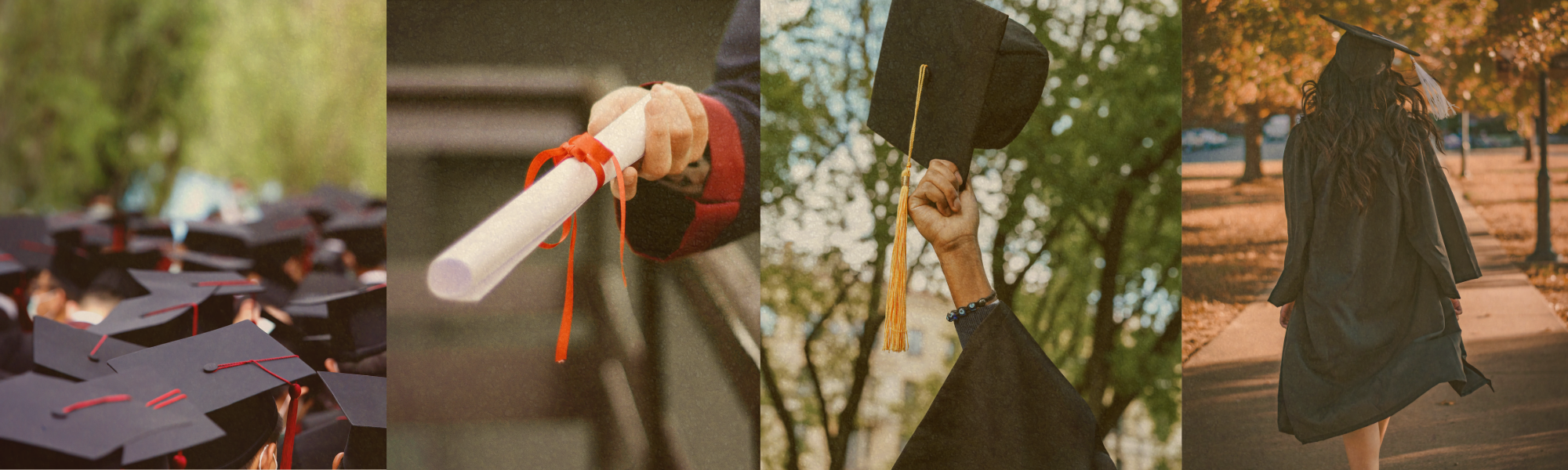 Banner Linkedin Rosa (3).png