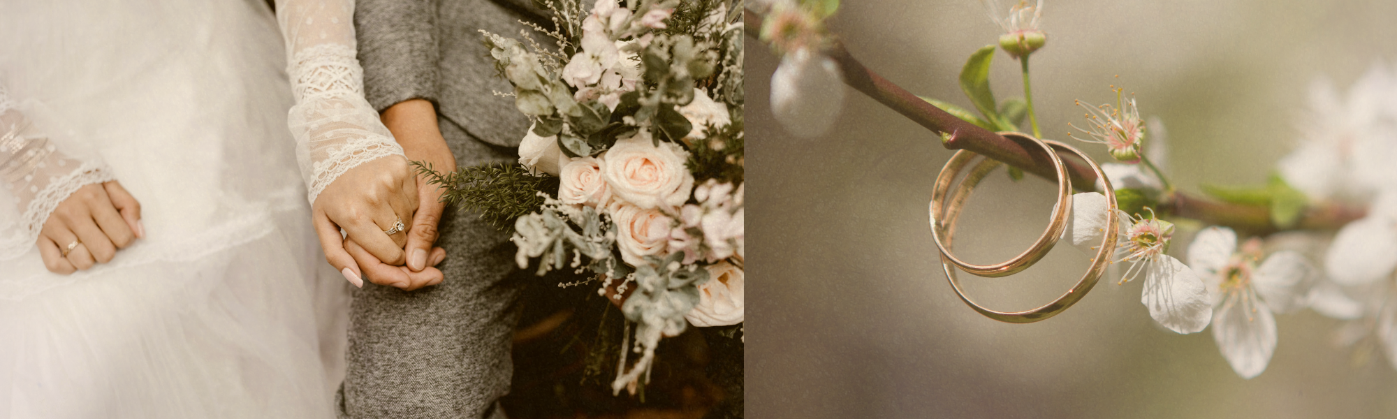 Banner Linkedin Rosa (2).png