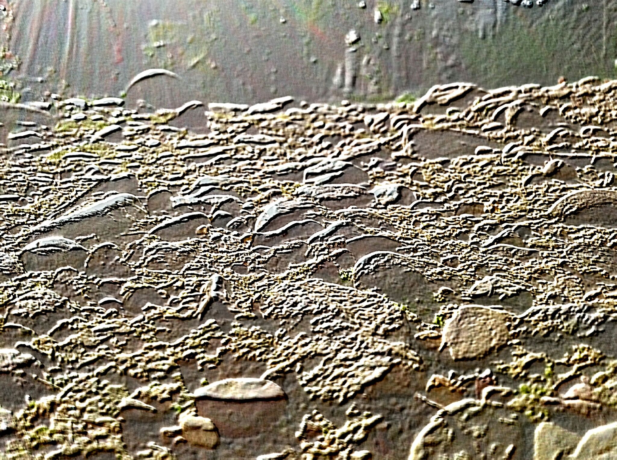 image3A1497089_chroma2.jpg