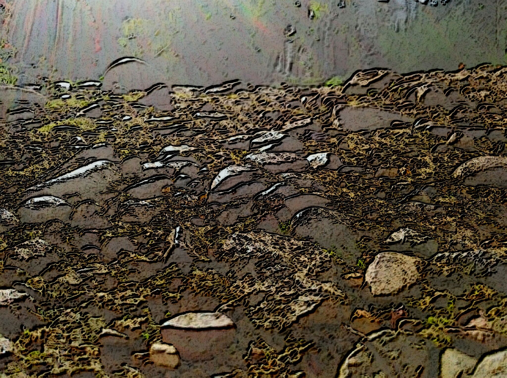 image3A1497089_chroma.jpg