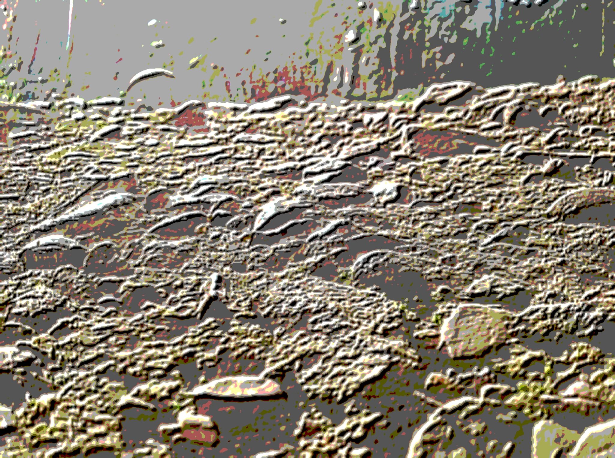 image3A1497089_chroma3.jpg