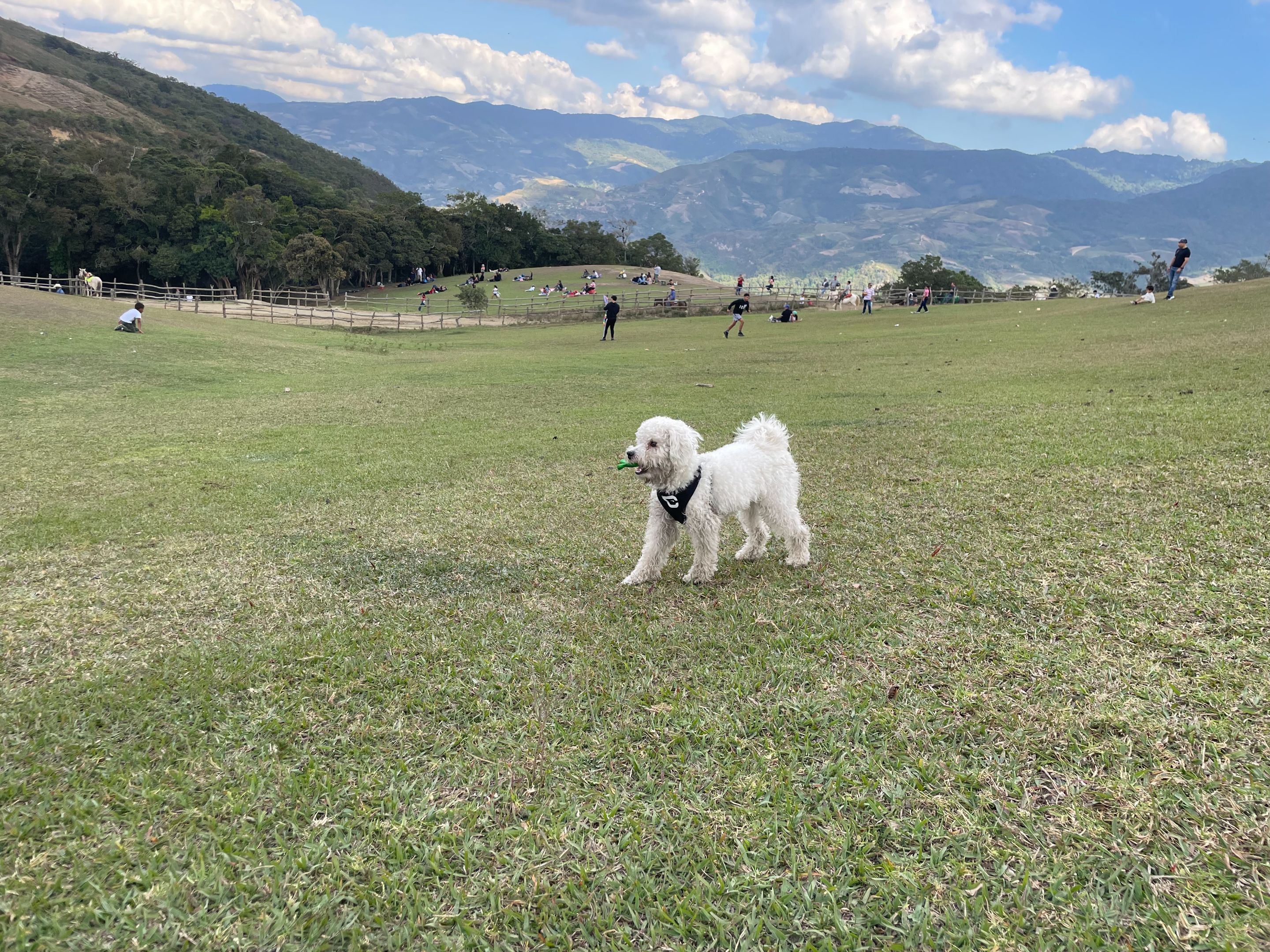 IMG_4269.jpeg
