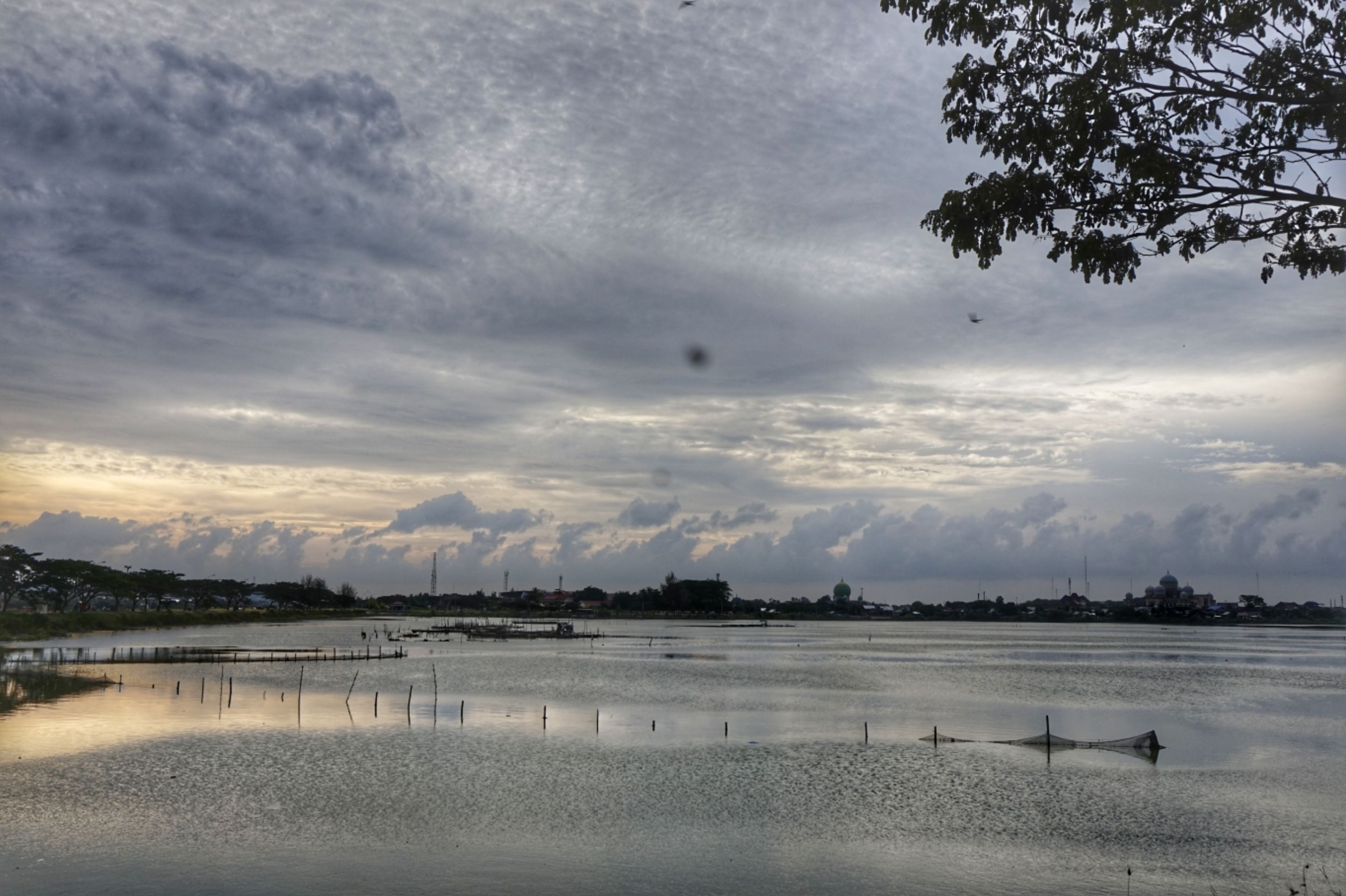 _DSC7173-01.jpeg