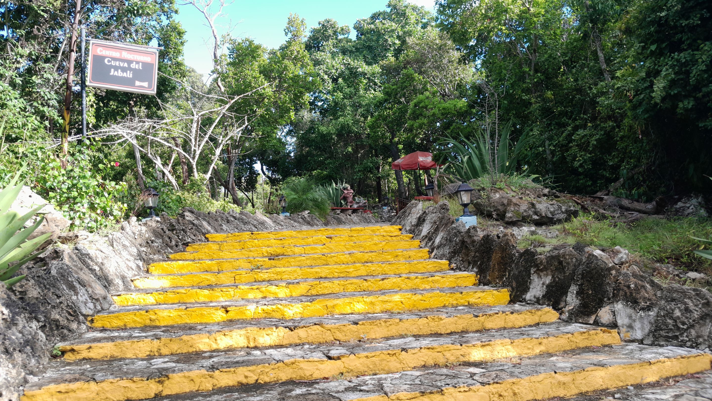20250816_085029.jpg