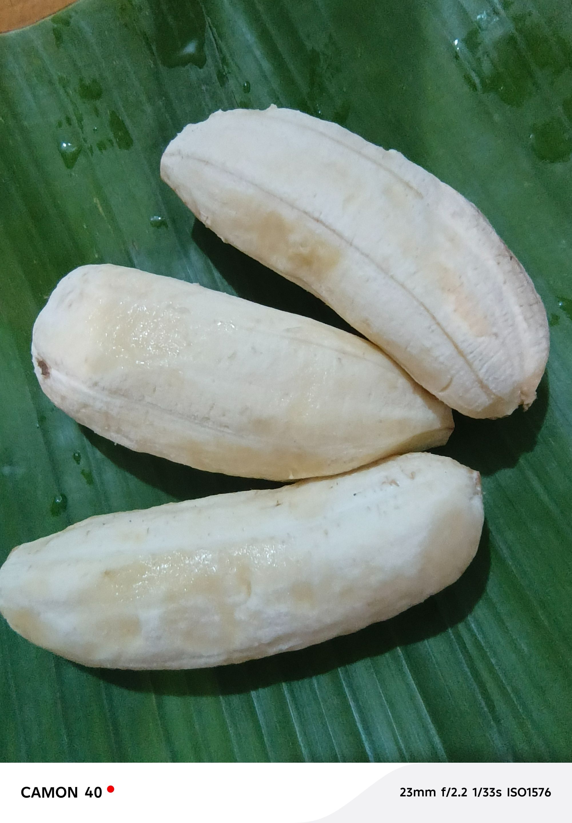Saging.jpg