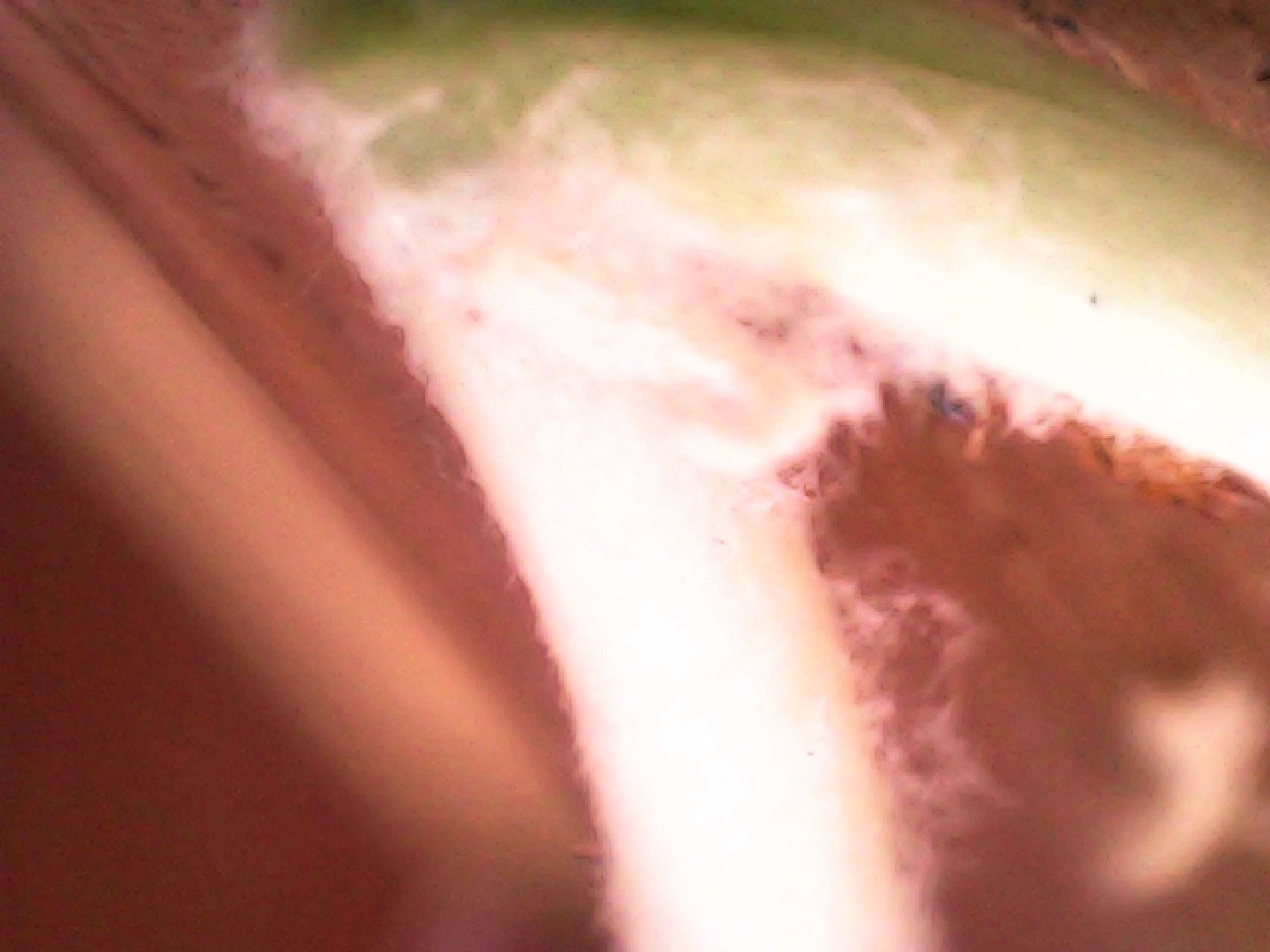 20211118_105241.jpg