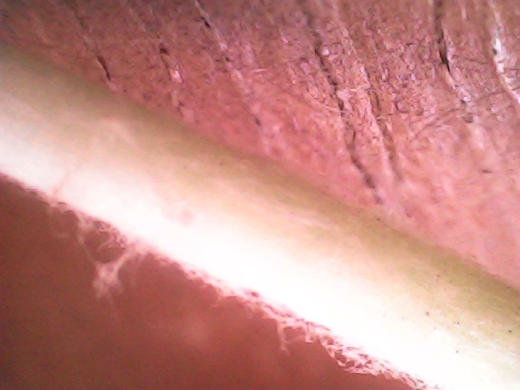 20211118_105218.jpg