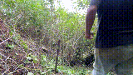 IMG_1214.gif