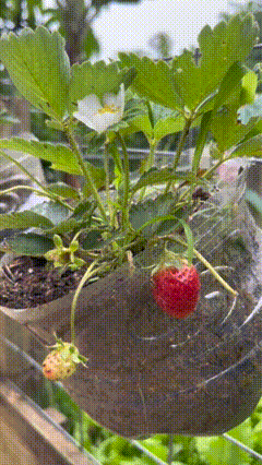 copy_3649675A-0876-447D-BD57-99D81041970C.gif