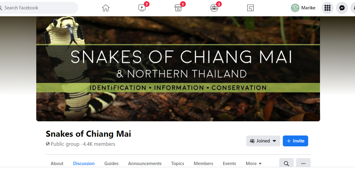 Screenshot (1135).png