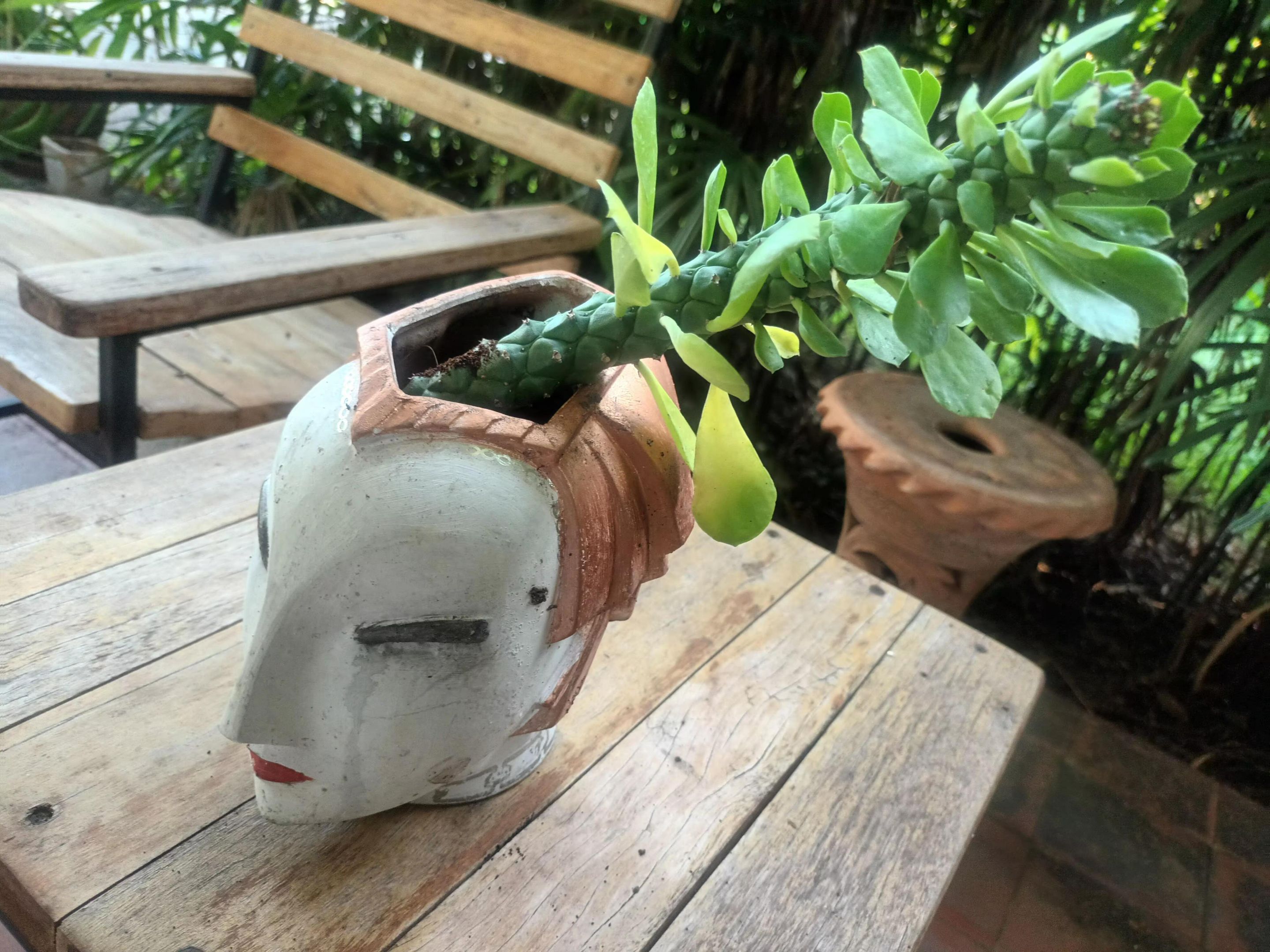 PlantRescuer3.jpg