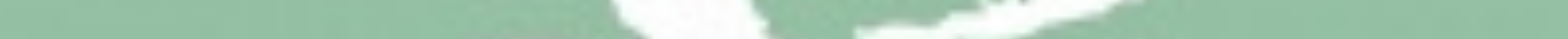 Untitled design 8.png