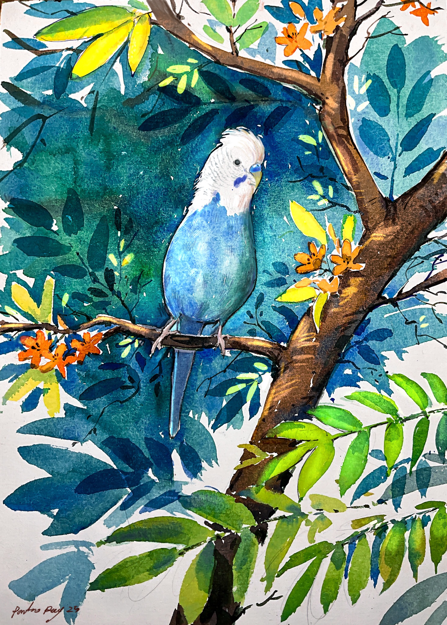 IMG_0318.png